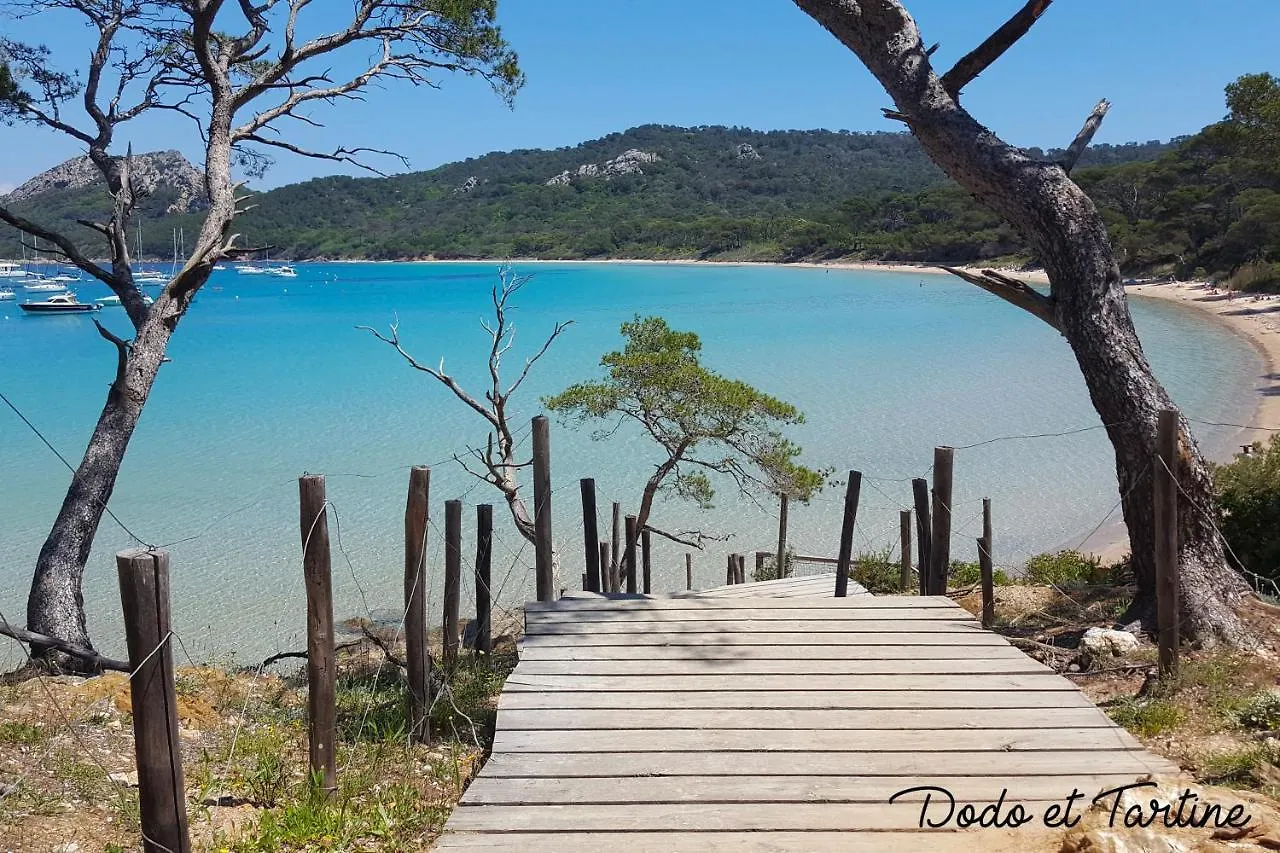 Great 1 Bedroom Downtown - Dodo Et Tartine Toulon France